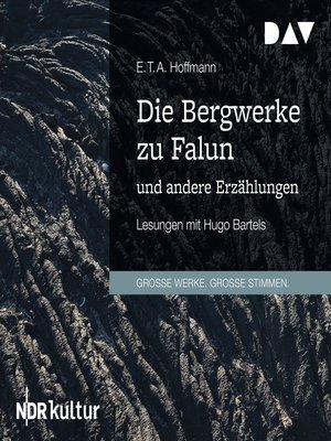 cover image of Die Bergwerke zu Falun und andere Erzählungen (Gekürzt)